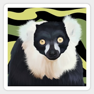 Black and White Ruffed Lemur Design Magnet